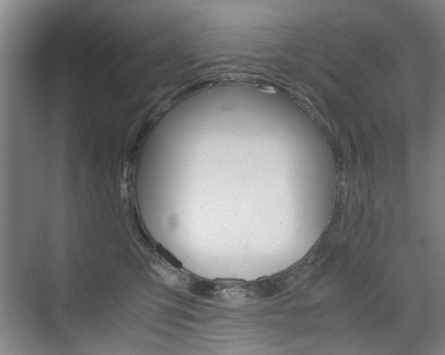 X0000074970423200609011021