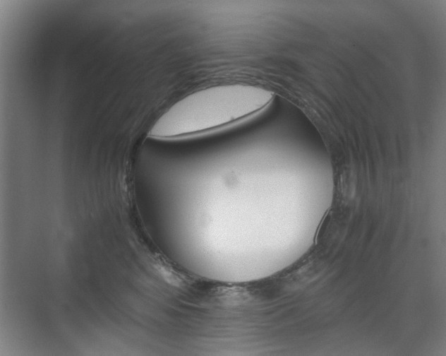 X0000074970424200609011021