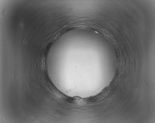 X0000074970425200609011021