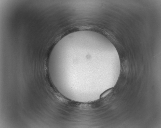 X0000074970426200609011021