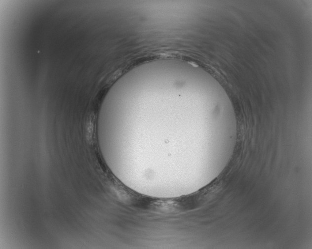 X0000074970427200609011021