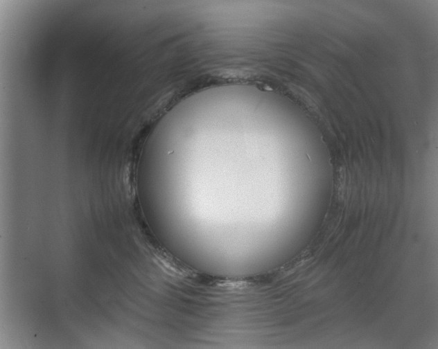 X0000074970428200609011021