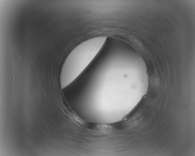 X0000074970429200609011021