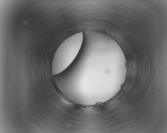 X0000074970430200609011021