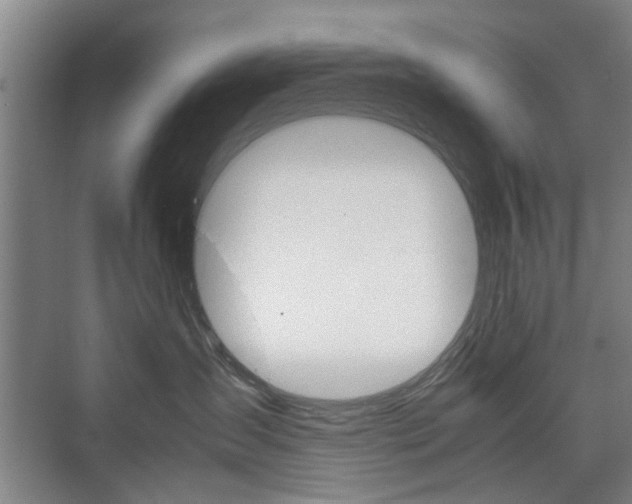 X0000074970431200609011021