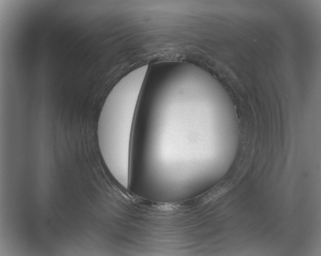 X0000074970432200609011021