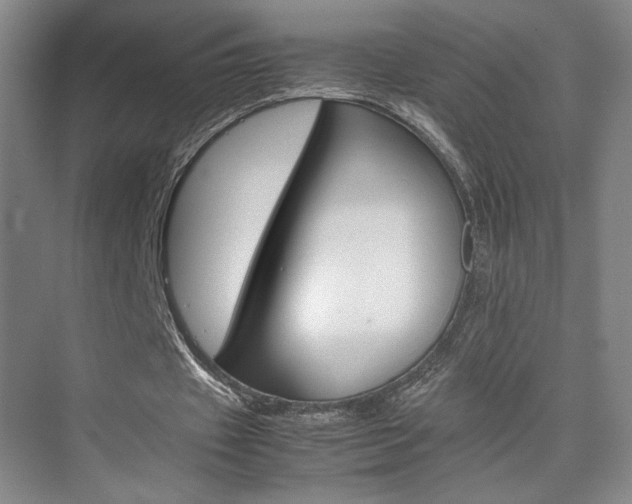 X0000074970433200609011020