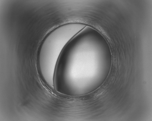 X0000074970434200609011020