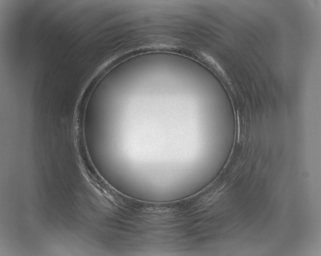 X0000074970435200609011020