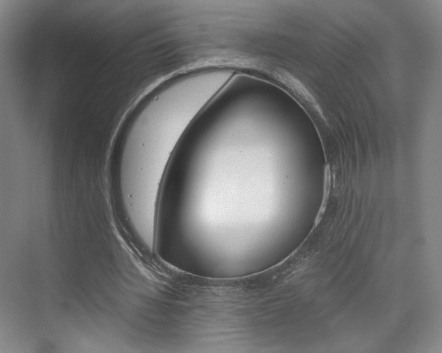 X0000074970436200609011020