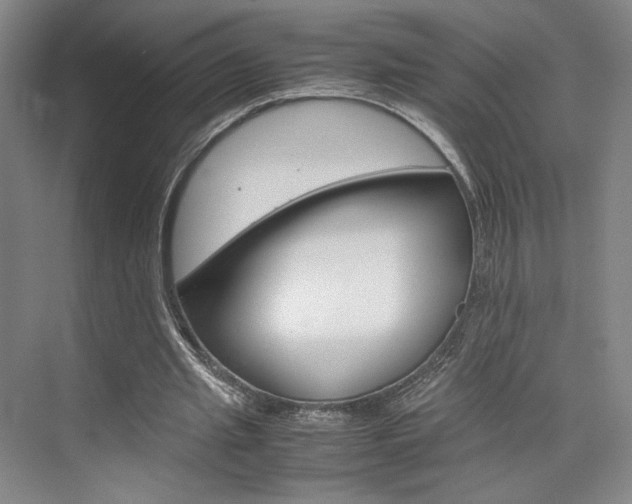 X0000074970437200609011020