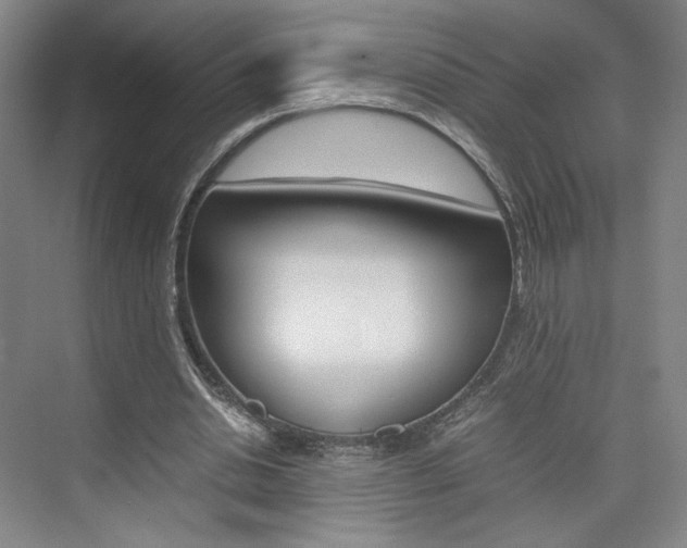 X0000074970438200609011020