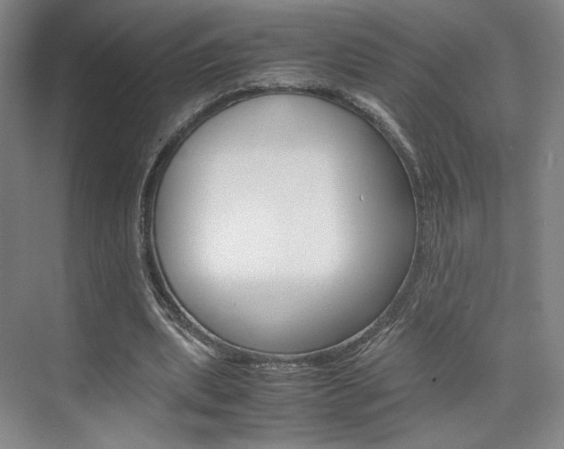 X0000074970439200609011020