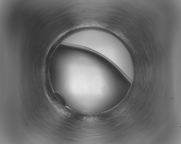 X0000074970440200609011020