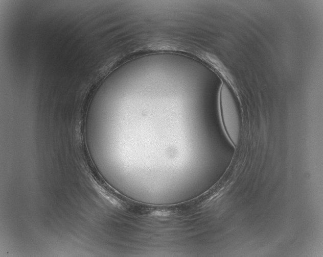 X0000074970441200609011020