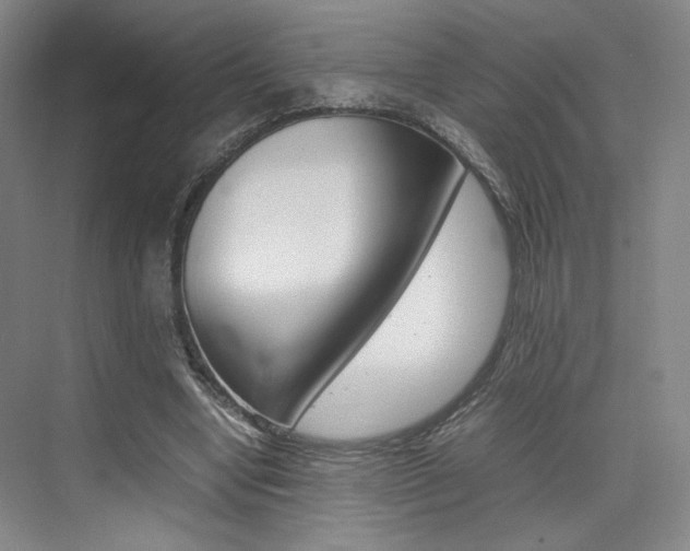 X0000074970442200609011020