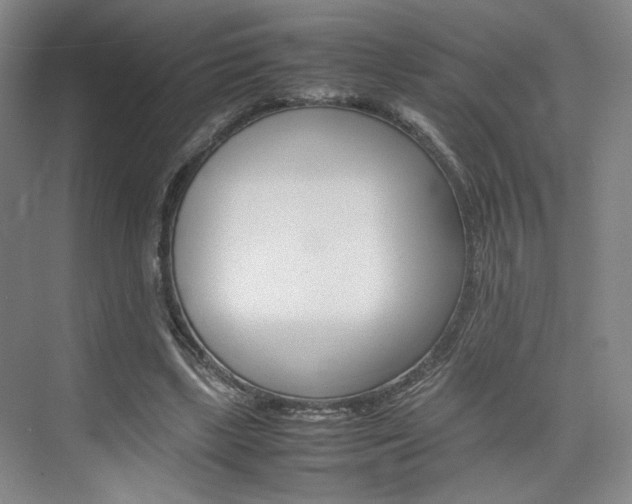 X0000074970443200609011020