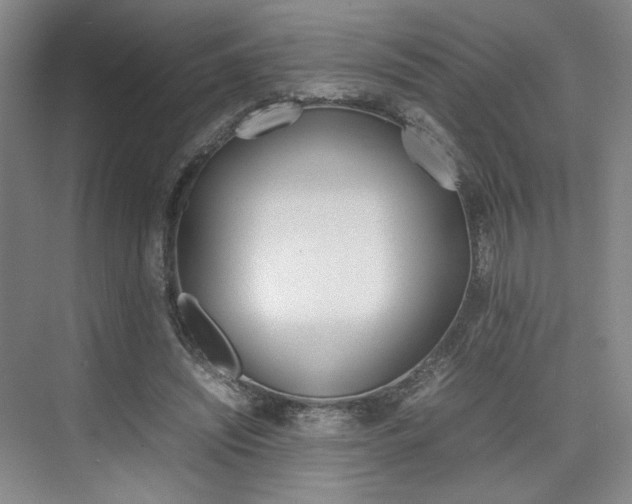 X0000074970444200609011020