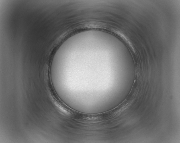 X0000074970445200609011020