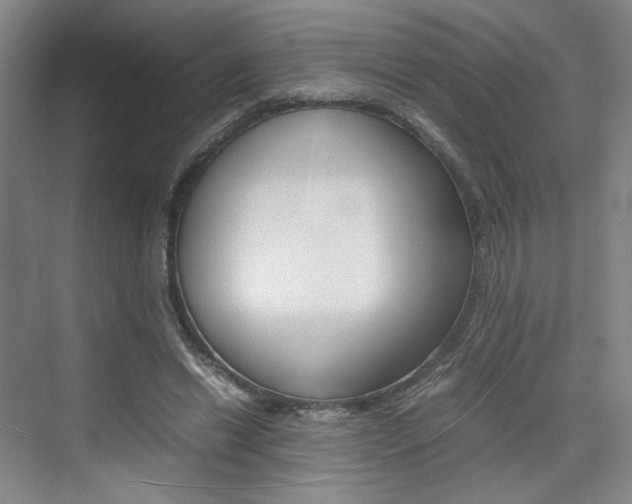 X0000074970446200609011020