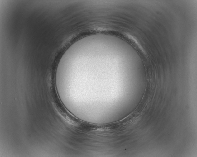 X0000074970447200609011020