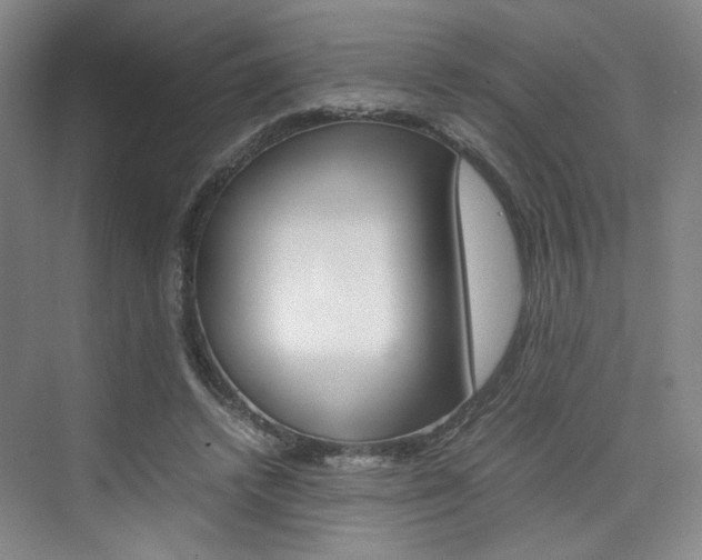 X0000074970448200609011020