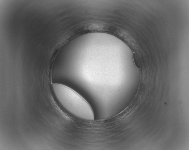 X0000074970449200609011020