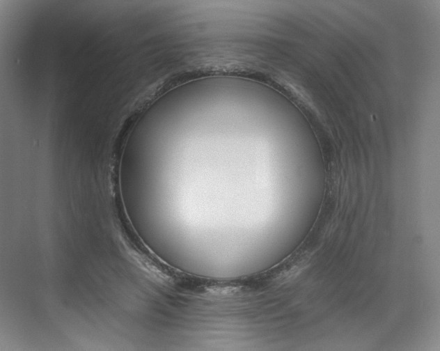 X0000074970450200609011021