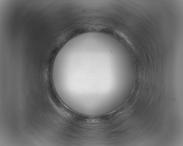 X0000074970451200609011021