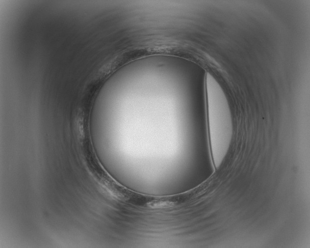 X0000074970452200609011021