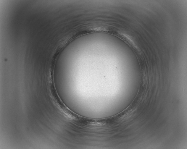 X0000074970453200609011021