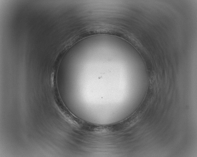 X0000074970454200609011021