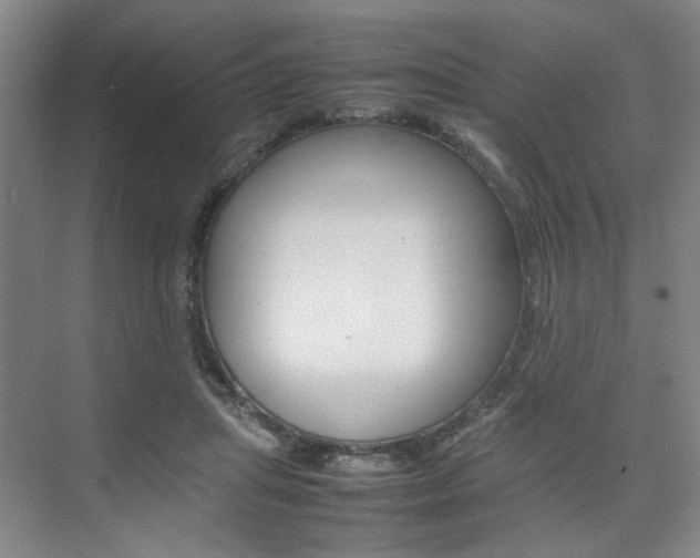 X0000074970455200609011021