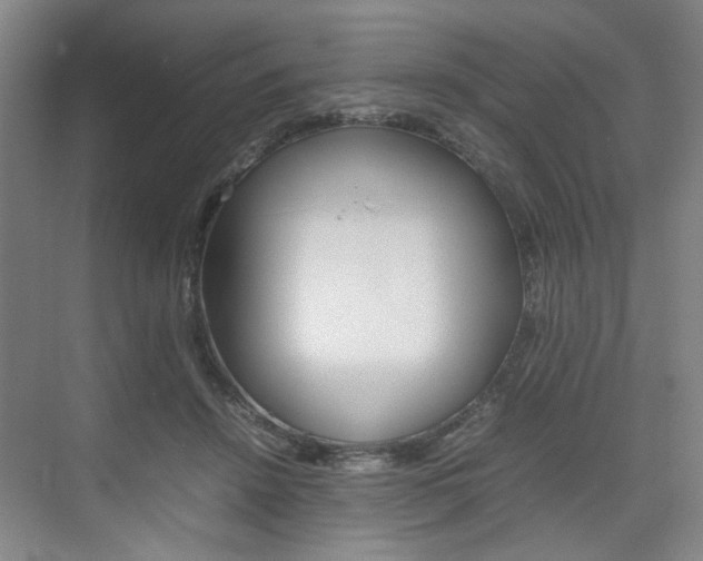 X0000074970456200609011021