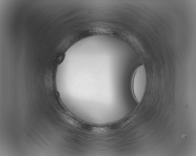 X0000074970457200609011021