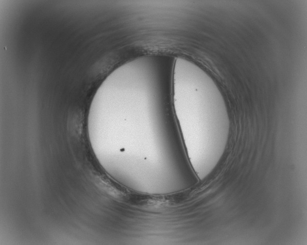 X0000074970458200609011021