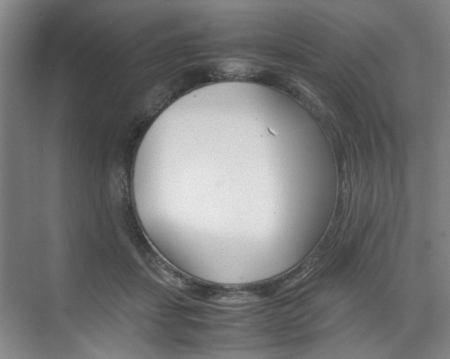 X0000074970459200609011021