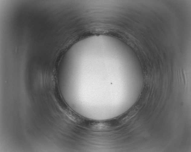 X0000074970460200609011021