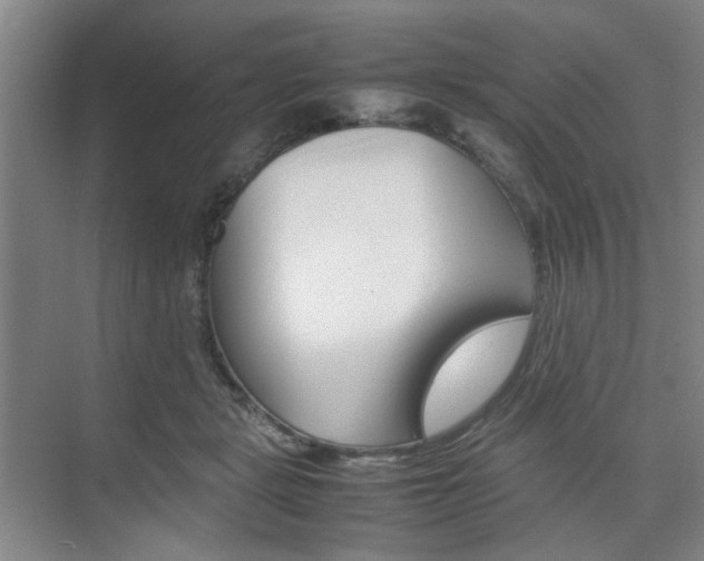 X0000074970461200609011021