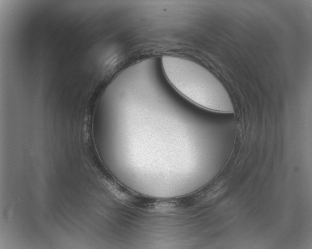 X0000074970462200609011021