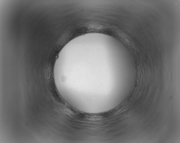 X0000074970463200609011021