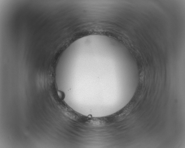 X0000074970464200609011021