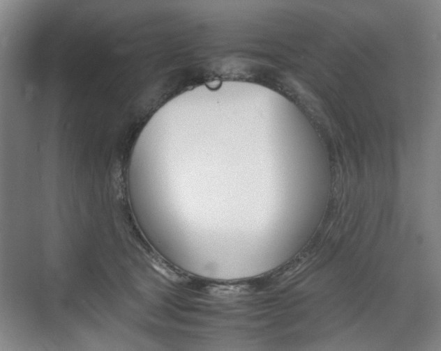 X0000074970465200609011021