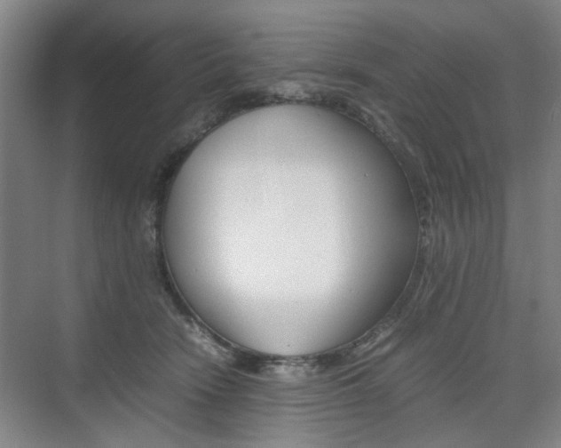 X0000074970466200609011021