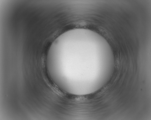 X0000074970468200609011021