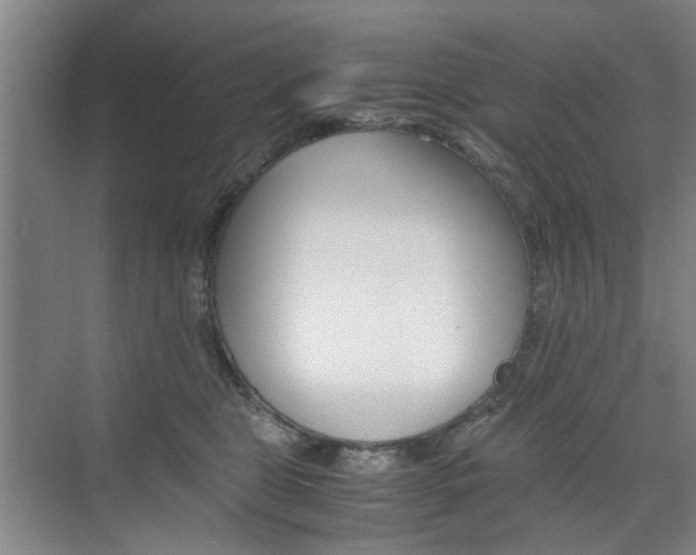 X0000074970469200609011021