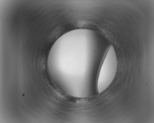 X0000074970470200609011021