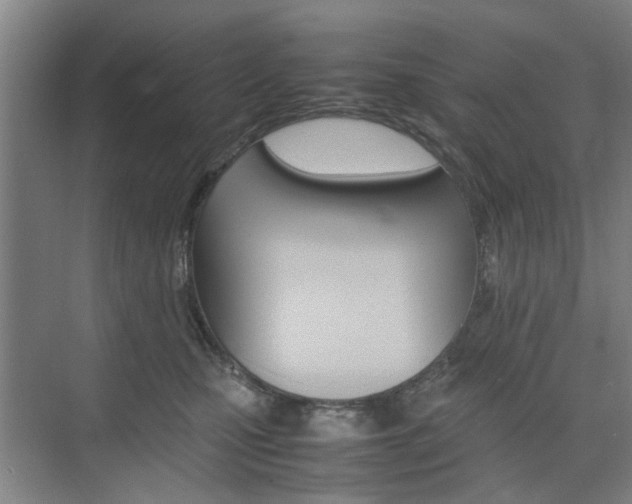 X0000074970471200609011021