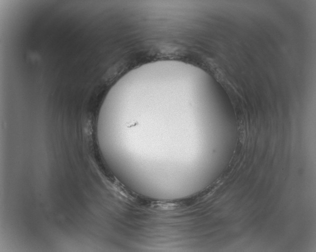 X0000074970472200609011021