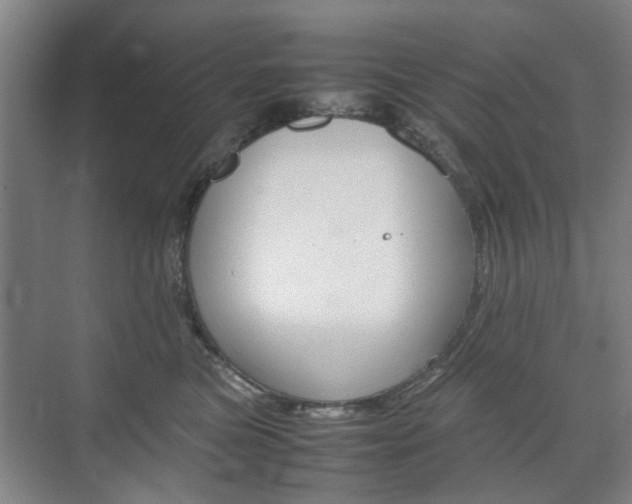 X0000074970473200609011021